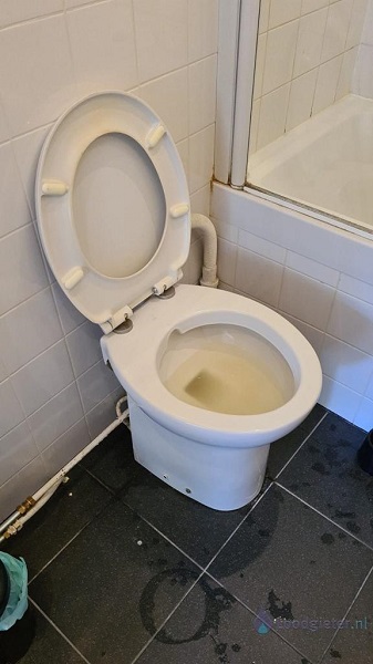  verstopping toilet Kudelstaart
